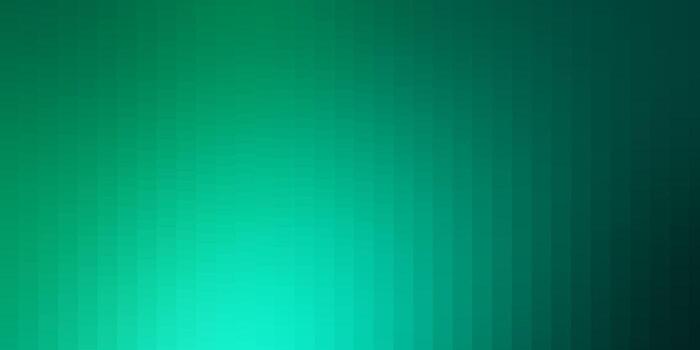 Light Green vector layout with lines, rectangles.