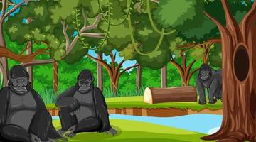 Gorilla group in forest or rainforest scene with many trees vector