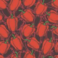 Red peppers on black background, vector pattern.