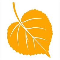 Carved autumn leaf. Nature bright leaves of trees. Abstraction. vector