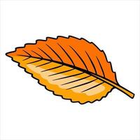 Carved autumn leaf. Nature bright leaves of trees. Cartoon style. vector