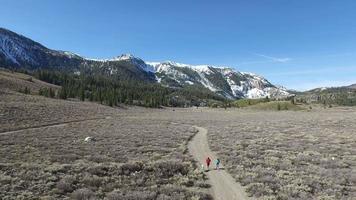 Young man and woman trail running with dog video