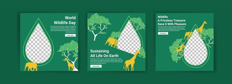 Social media templates for World Wildlife Day.