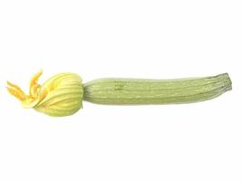 Courgettes zucchini isolated photo