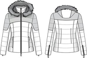 Quilt feather jacket parka with fur hood. Flat fashion sketch vector