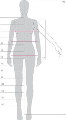 Vetor do Stock: Woman body measurement chart. Scheme for