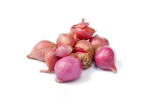 red onion isolated on a white background photo