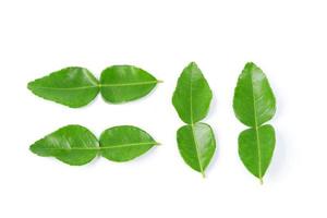 bergamot leaf isolated on a white background photo