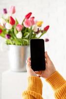 Female hand holding mobile phone taking picture of tulips flowers photo