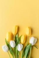 Top view of beautiful yellow and white tulips on yellow background photo