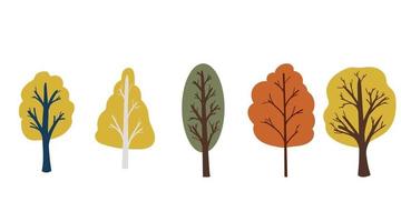 Autumn Trees with Trunk and Bright Foliage Vector Set