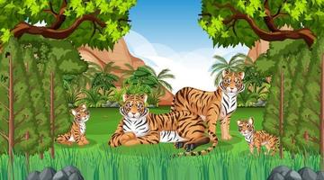familia de tigres en el bosque o la escena de la selva tropical con muchos árboles vector