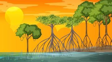 Escena del paisaje del bosque de manglares al atardecer vector