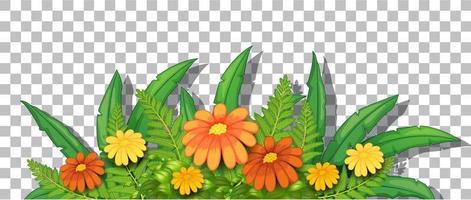 Flower bush with leaves vector