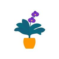 Orchid plant in pot on white, vector