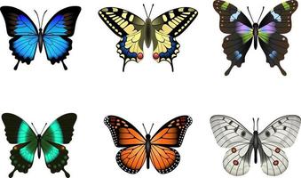 conjunto de coloridas mariposas aisladas vector