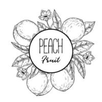 Hand drawn peach frame. Vector illustration in sketch style