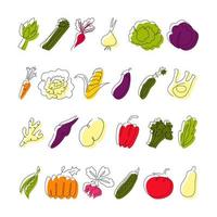 Vegetable continuous line drawing collection vector