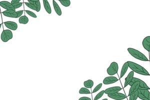 Hand drawn Plant vector illustration with white background