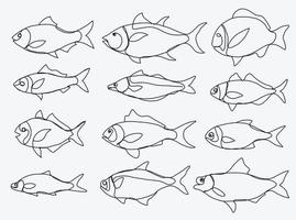 Doodle boceto a mano alzada dibujo continuo de la colección de peces. vector