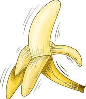 Banana illustration sketch style. hand drawn banana. yellow banana vector