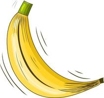 Banana illustration sketch style. hand drawn banana. yellow banana vector