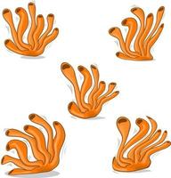 Coral set illustration. coral sea weed collection. coral reef isolated vector