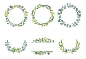 Eucalyptus branches wreaths with watercolor style.  Wedding greenery