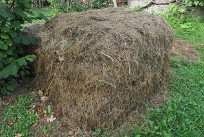 Hay heap in lawn photo