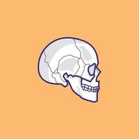 side view skull vector stock illustration, skull isolated design