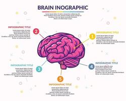 Plantilla de vector de infografía de cerebro humano