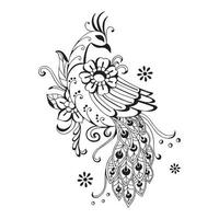 Beautiful  Hand drawn peacock vector