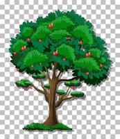 Apple tree isolated vector