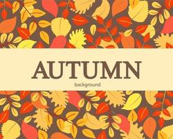 Autumn background with orange red and yellow leaves vector