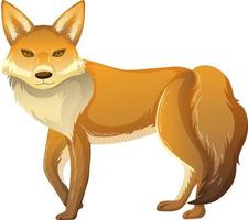 Fox animal on white background vector