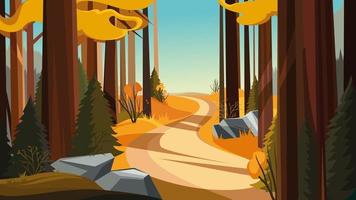 Road in autumn forest. vector