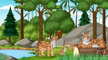 familia de tigres en el bosque o la escena de la selva tropical con muchos árboles vector