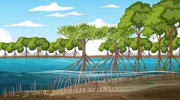 Mangrove forest landscape scene at daytime with many different animals vector