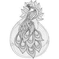 Peacock hand drawn for adult coloring book vector