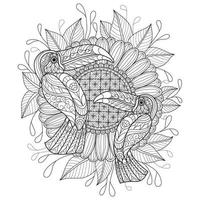 Toucan and sunflower hand drawn for adult coloring book vector