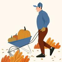 A young man farmer or agricultural collects a crop of pumpkins vector