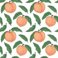 Hand drawn peach seamless pattern. Vector illustration