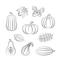 Outline Hand Drawing of Harvest Pumpkins and Leaves vector