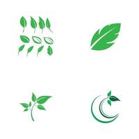 vector de elemento de naturaleza de ecología de hoja verde