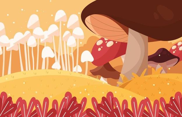 Giant Mushroom in Autumn Mystical Forest Background