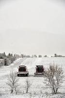 Combine harvesters in the snow photo