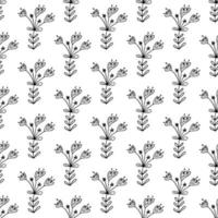 Floral seamless pattern. Isolated on white background vector