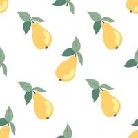 Seamless pattern with pears on a white background vector