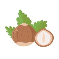 Hazelnut with leaf, flat design, isolated on white vector