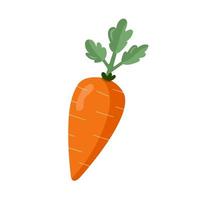 Orange carrot with green leaves. Isolated on white vector